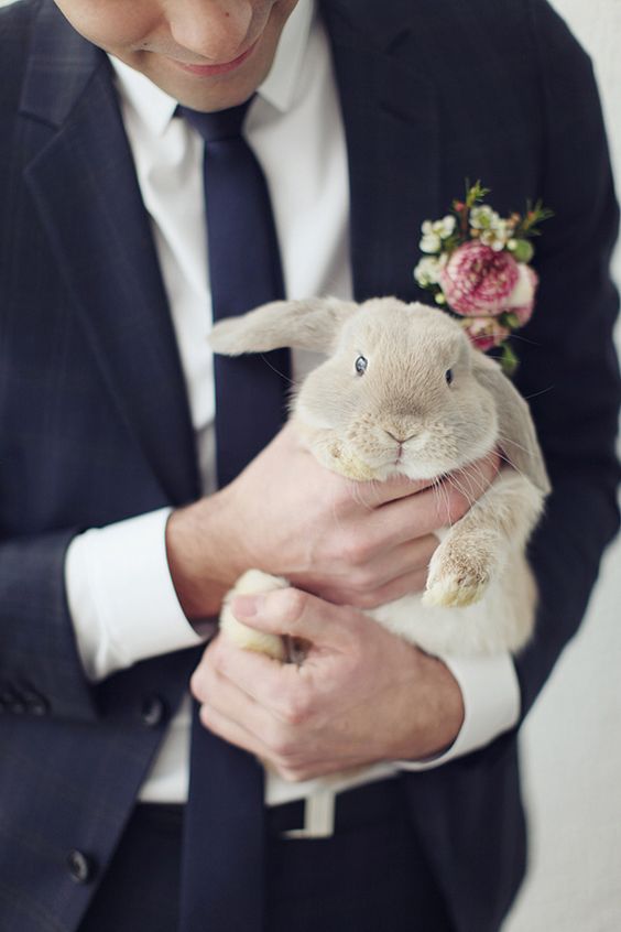 Conejo boda